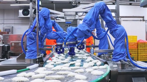 Fish Fillet Shaping